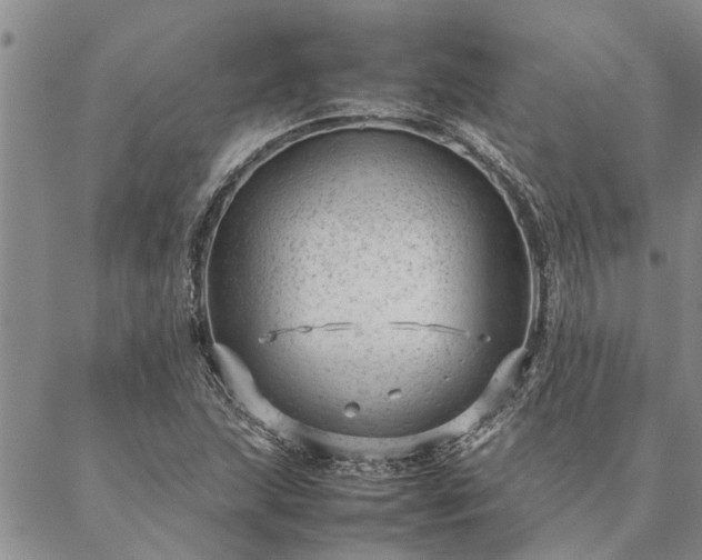 X0000087391215200704271614