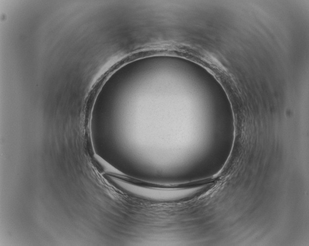 X0000087391216200704271614