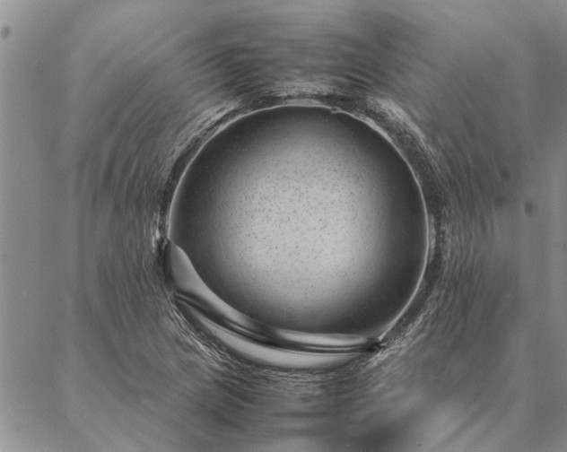 X0000087391217200704271614