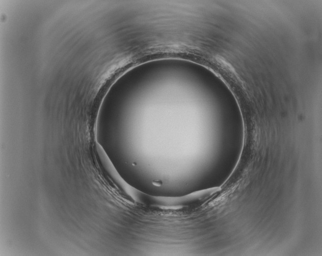 X0000087391218200704271614