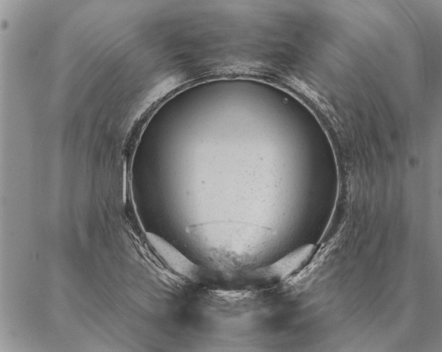 X0000087391219200704271614