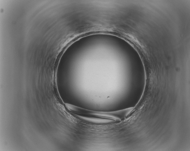 X0000087391220200704271614