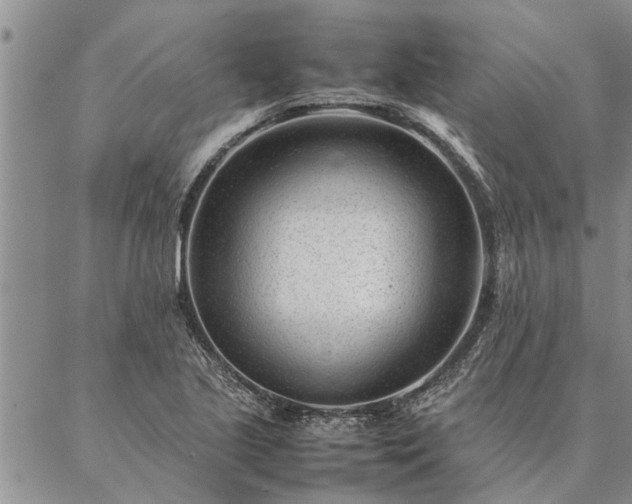 X0000087391221200704271614