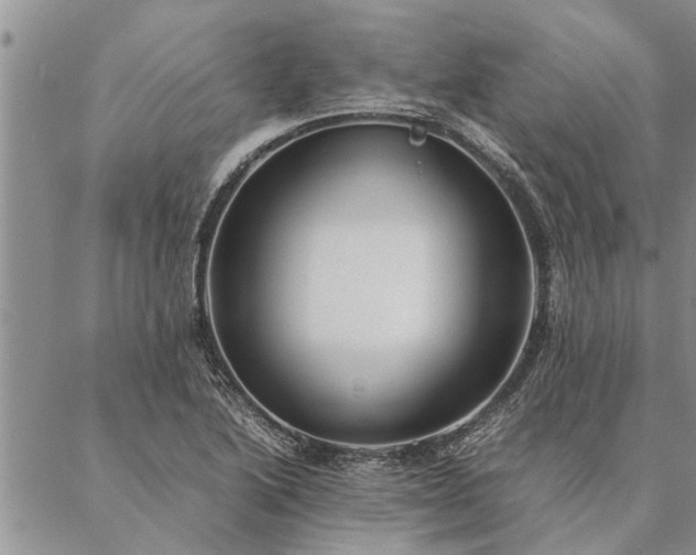 X0000087391222200704271614