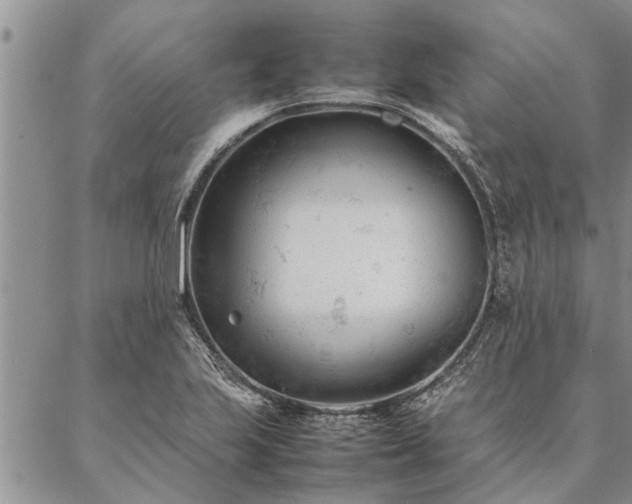 X0000087391223200704271614