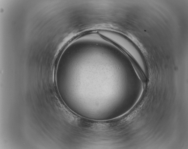 X0000087391224200704271614