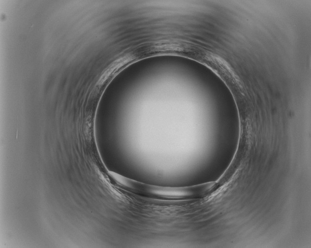 X0000087391225200704271614