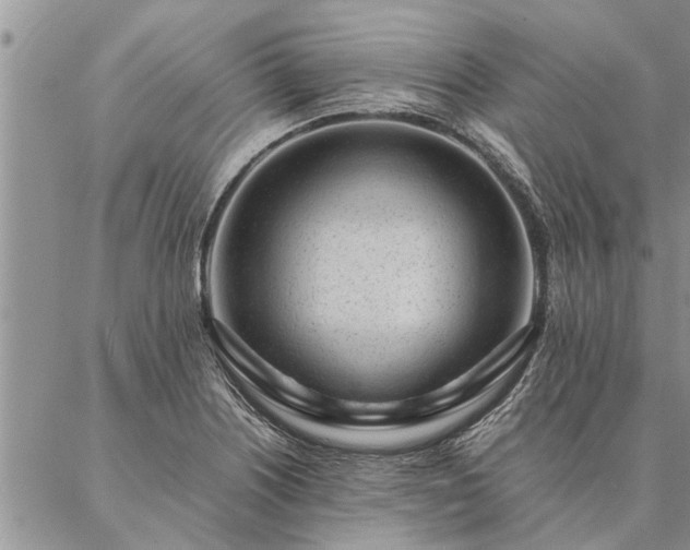 X0000087391226200704271614