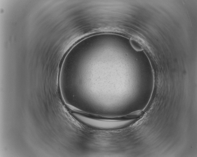 X0000087391228200704271614