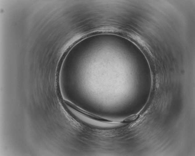 X0000087391229200704271614