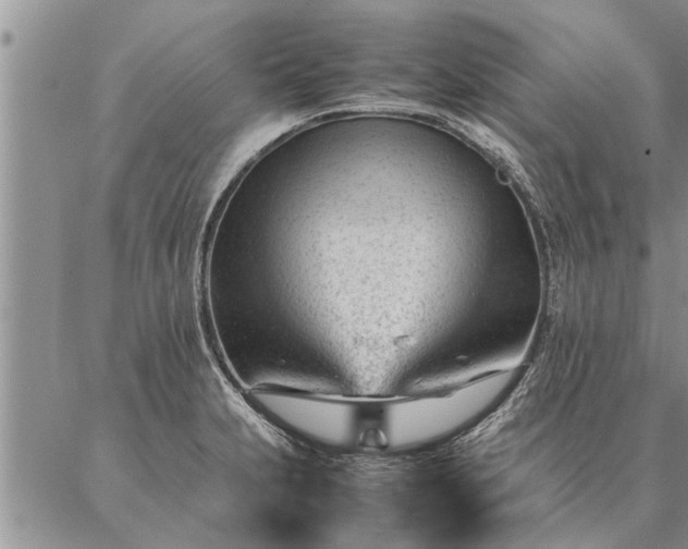 X0000087391231200704271614