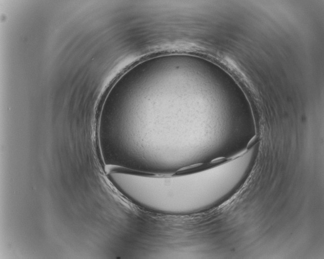 X0000087391232200704271614