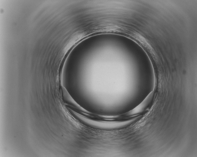 X0000087391234200704271614