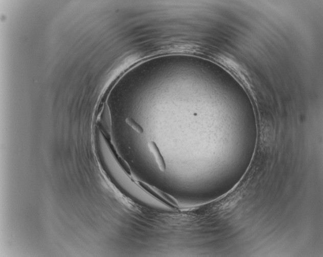 X0000087391235200704271614