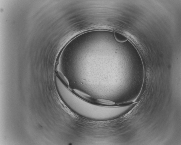 X0000087391236200704271614