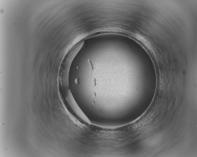 X0000087391237200704271614