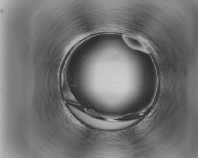 X0000087391238200704271614