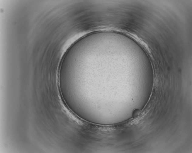 X0000087391239200704271614