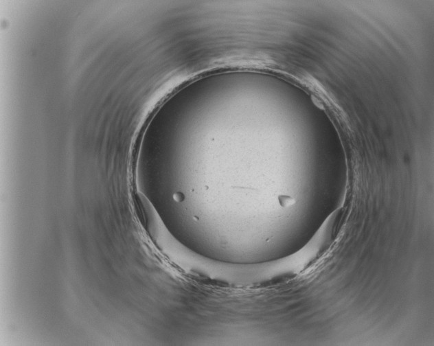 X0000087391240200704271614