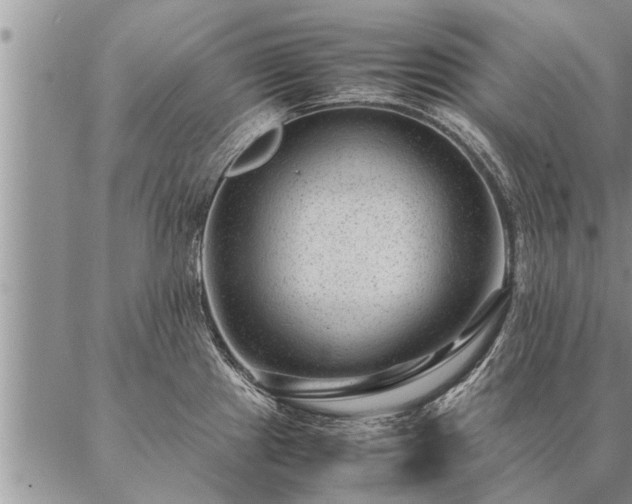 X0000087391241200704271614