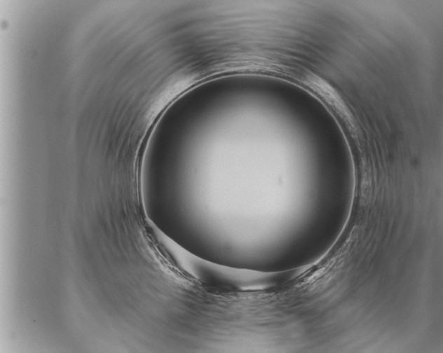 X0000087391242200704271614