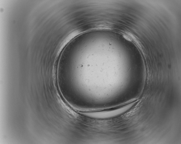 X0000087391243200704271614