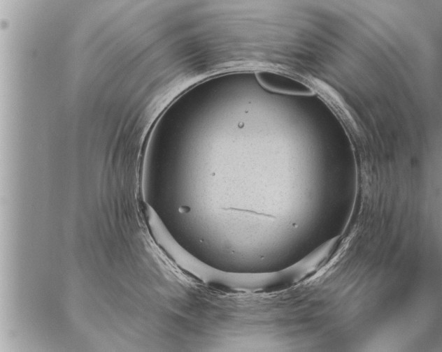 X0000087391244200704271614