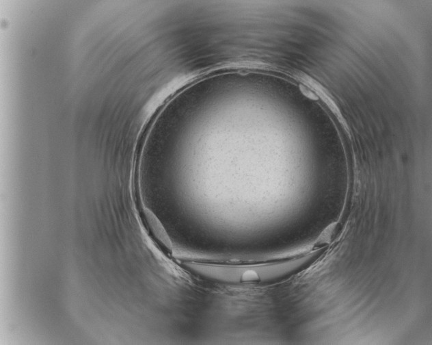 X0000087391245200704271614