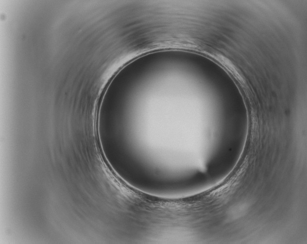 X0000087391246200704271614