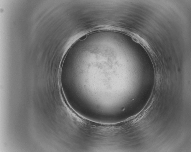 X0000087391247200704271614