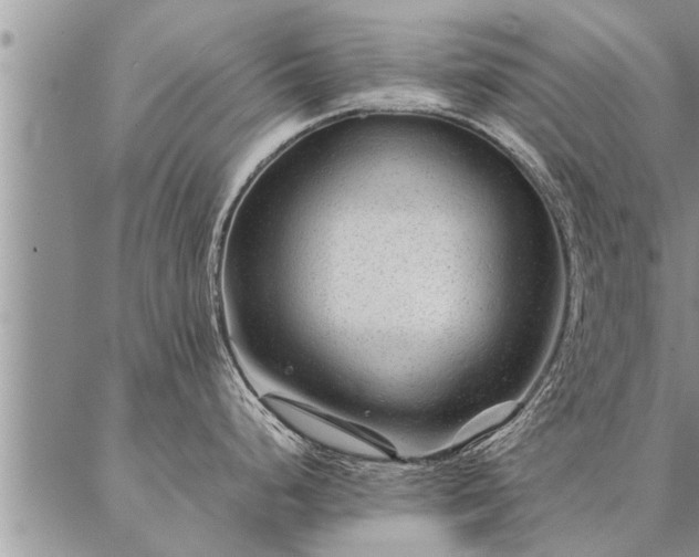 X0000087391248200704271614