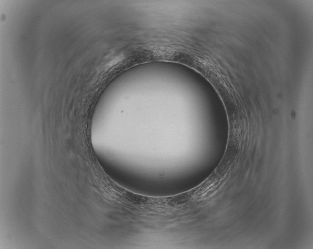 X0000087391249200704271613