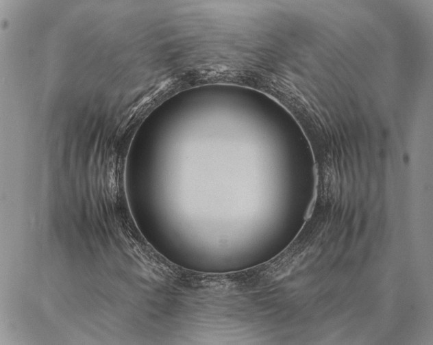 X0000087391250200704271613