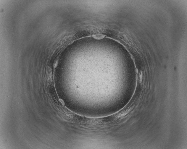 X0000087391251200704271613