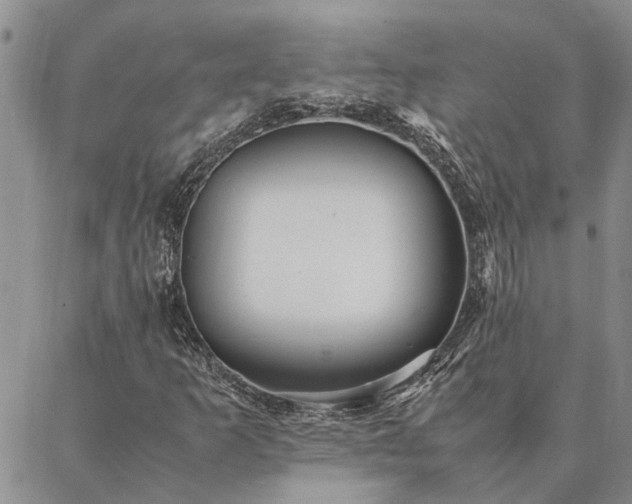 X0000087391253200704271613