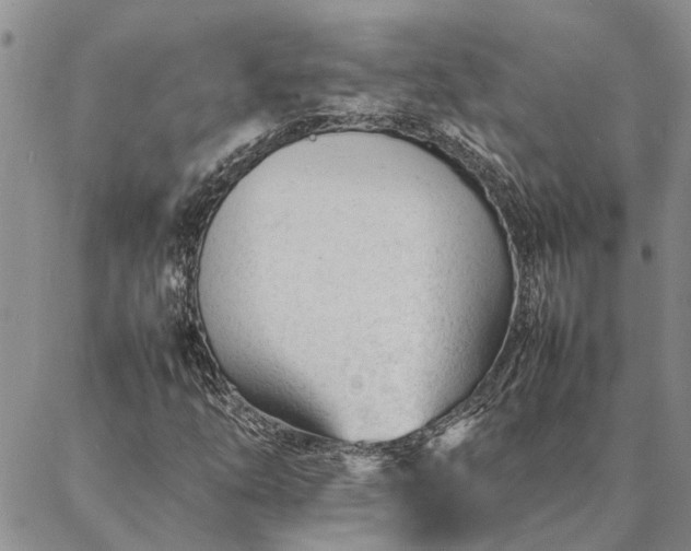 X0000087391254200704271613