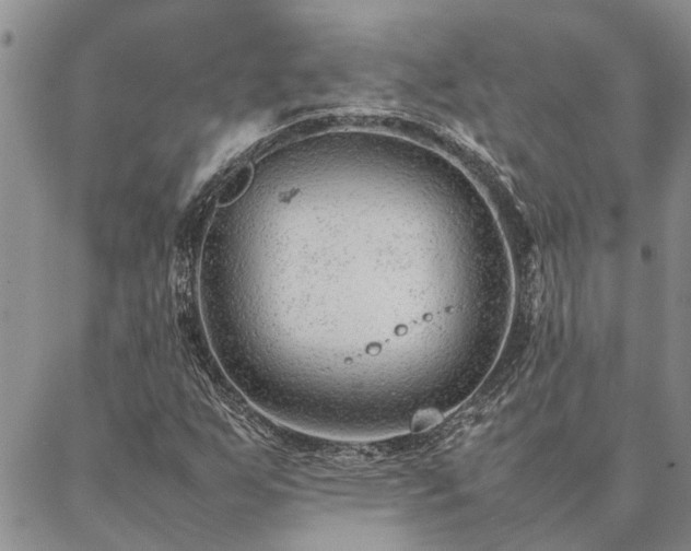 X0000087391255200704271613