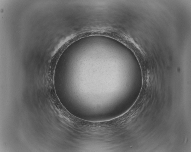 X0000087391256200704271613