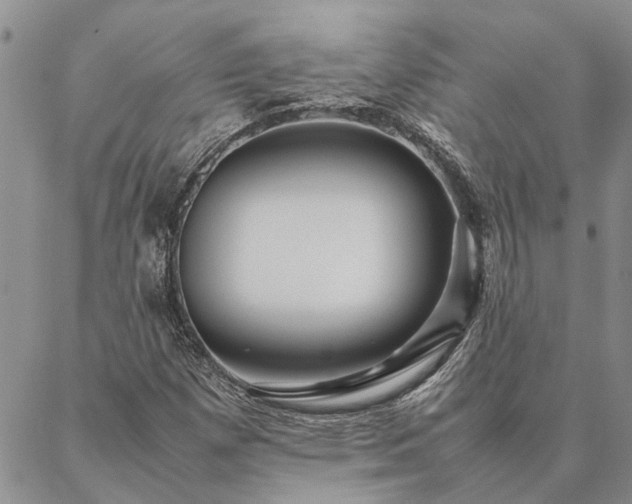 X0000087391257200704271613