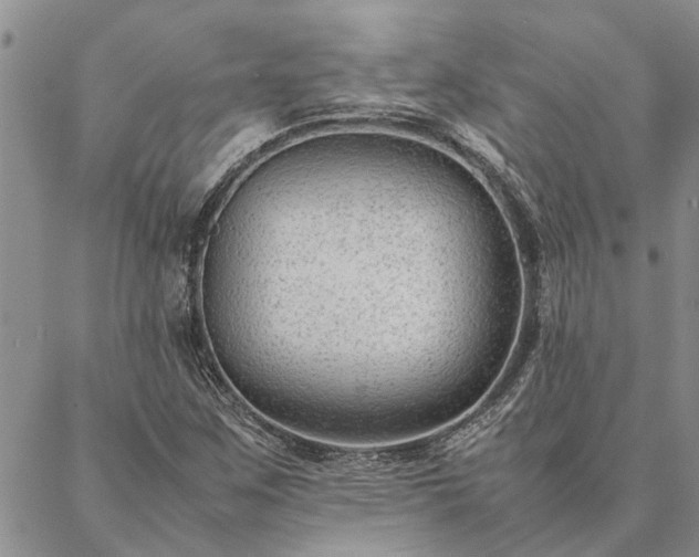 X0000087391259200704271613