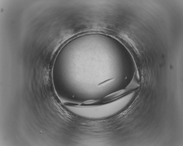 X0000087391260200704271613