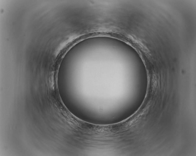 X0000087391262200704271613