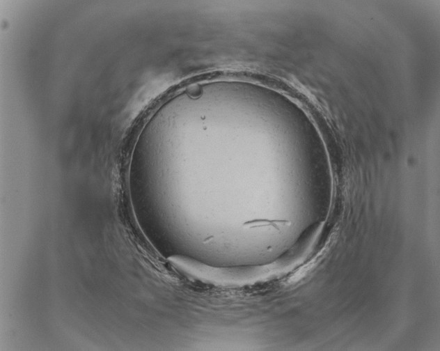 X0000087391263200704271613