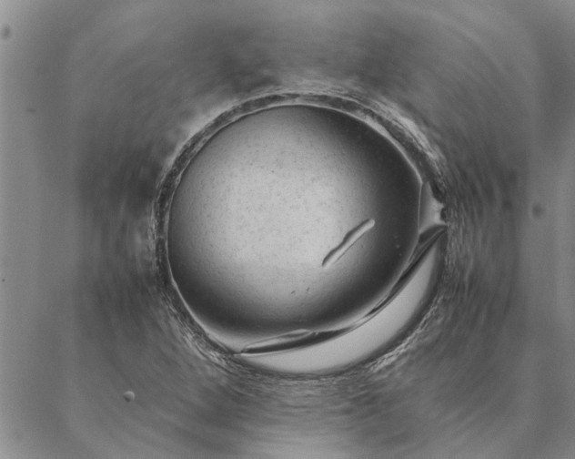 X0000087391264200704271613