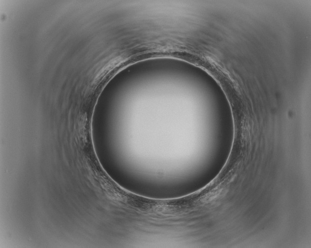 X0000087391265200704271613