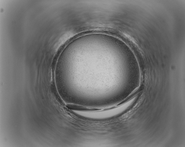 X0000087391267200704271613