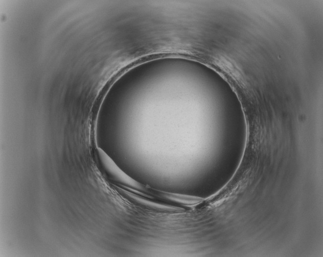 X0000087391268200704271613