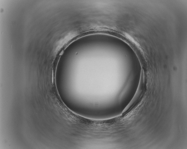 X0000087391269200704271613