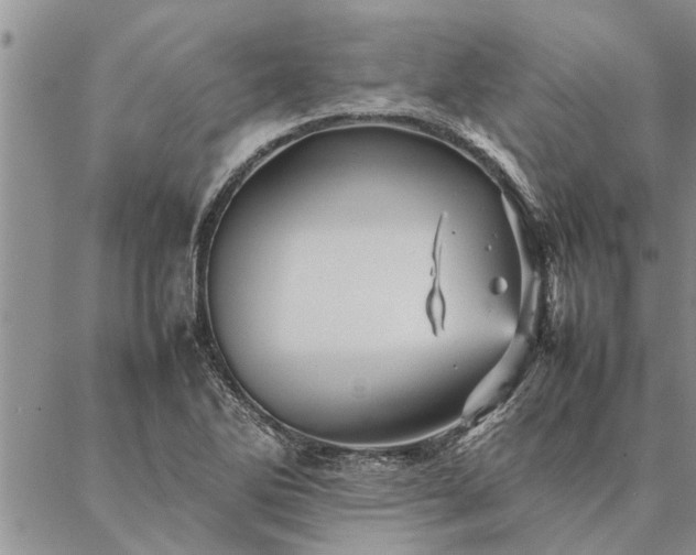 X0000087391270200704271613