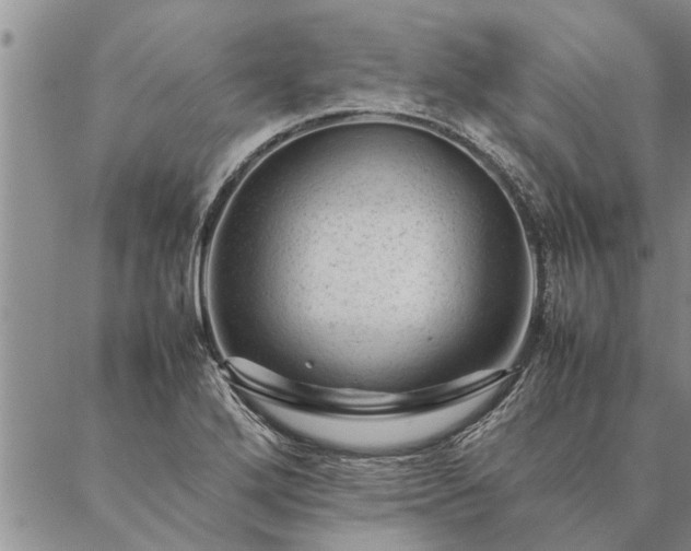 X0000087391272200704271613